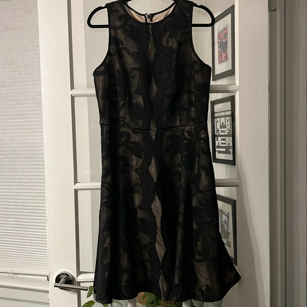 Jax black label black and beige lace dress size 14
